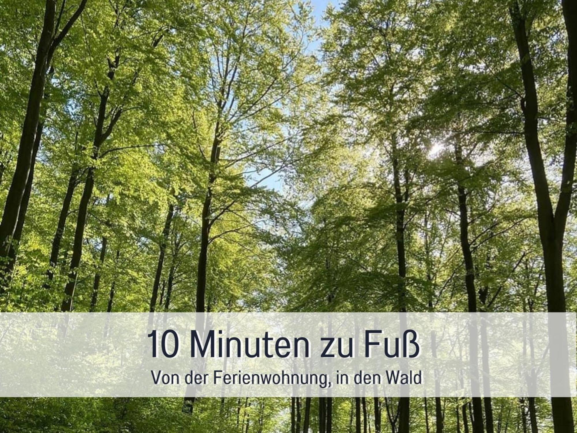 Am Feldrain - Urlaub Mit Hund Im Weserbergland Hannoversch Münden Exterior foto