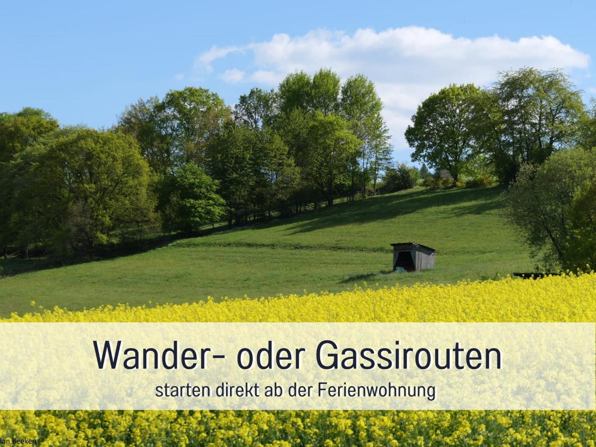 Am Feldrain - Urlaub Mit Hund Im Weserbergland Hannoversch Münden Exterior foto
